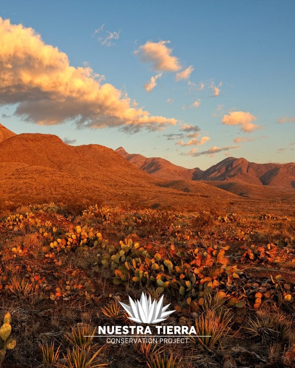 A landscape view of Castner Range, with the Nuestra Tierra logo in white on the bottom