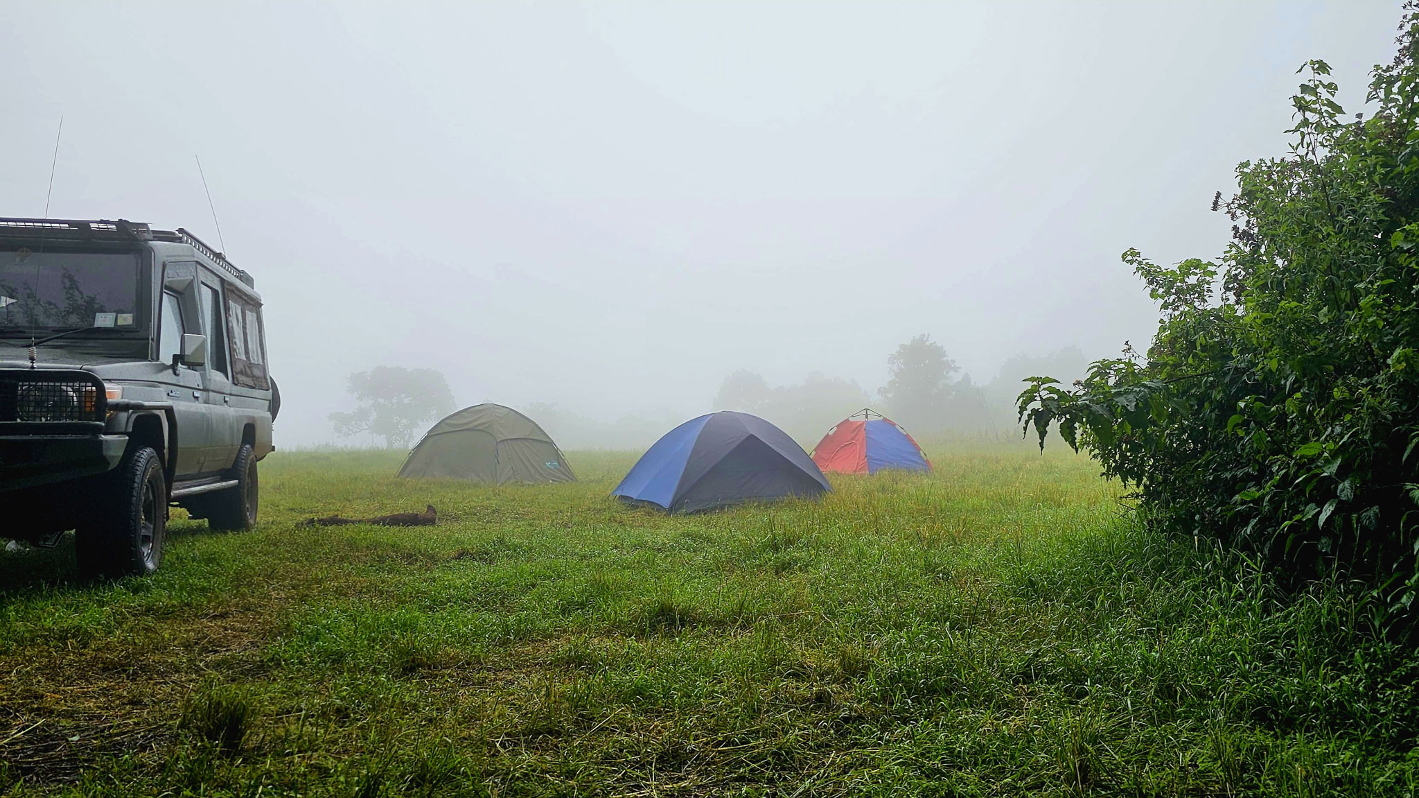 Tents set up in the grass next to a car in the fog.