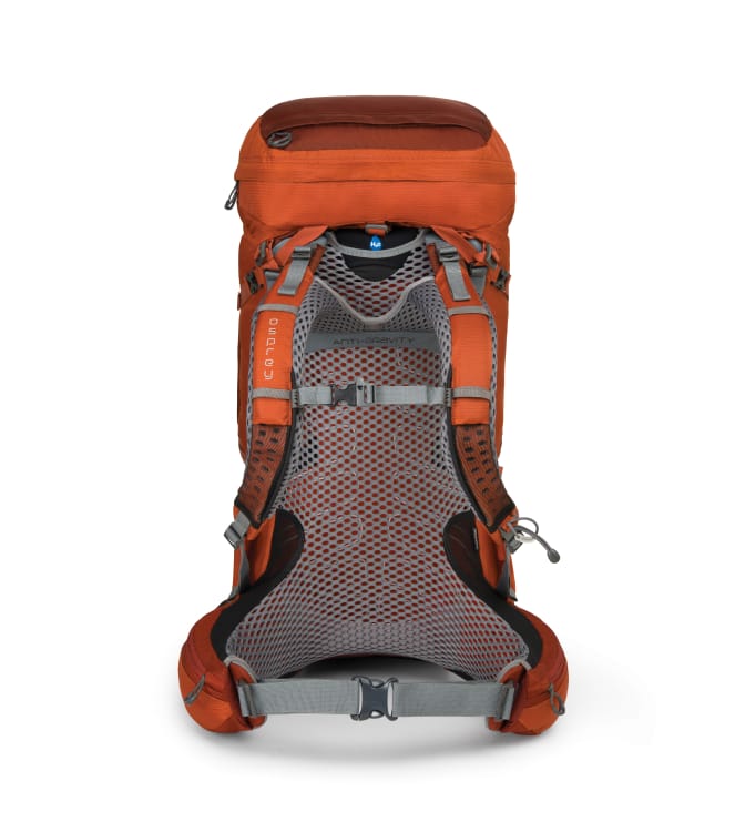 A product photo of a gray mesh backpanel on an orange Osprey backpacking pack over a white background. The hipbelt and sternum straps are fastened.